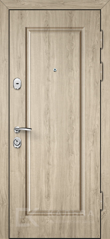 Фото «Дверь с МДФ №88»