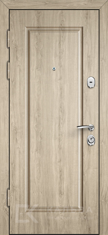 Фото №2 «Дверь в дом №39»