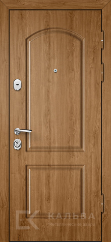 Фото «Дверь с МДФ №315»