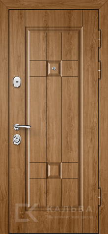 Фото «Дверь с шумоизоляцией №31»