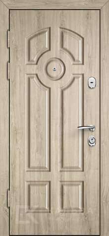 Фото №2 «Дверь Порошок №93»