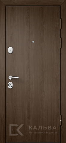 Фото «Дверь Ламинат №36»