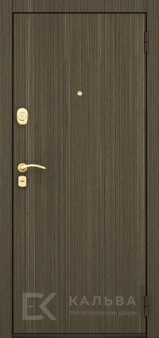 Фото «Дверь Ламинат №70»