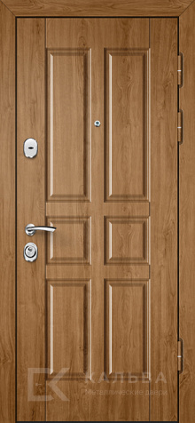 Фото «Дверь с МДФ №179»