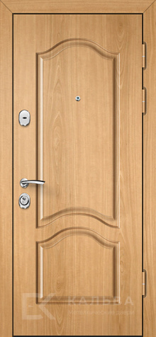 Фото «Дверь с МДФ №506»