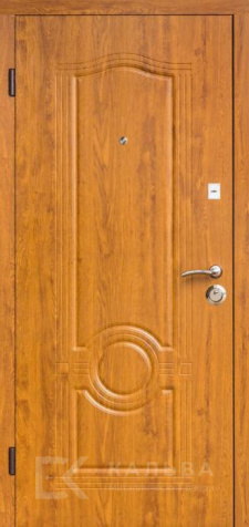 Фото №2 «Дверь с МДФ №197»