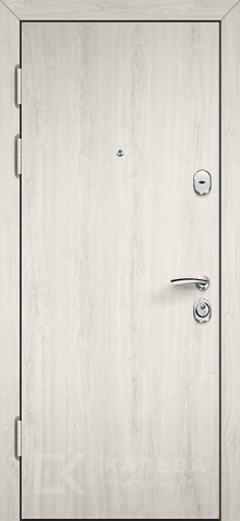 Фото №2 «Дверь Ламинат №8»